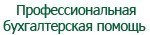 Профессиональная бухгалтерская помощь